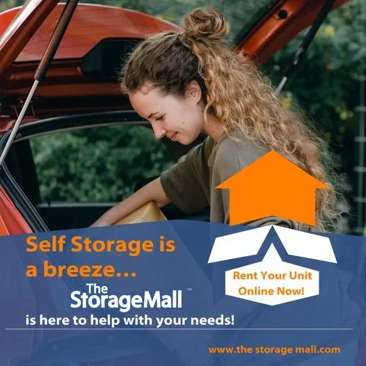 moving | unloading car | unpacking | self storage | storage solution