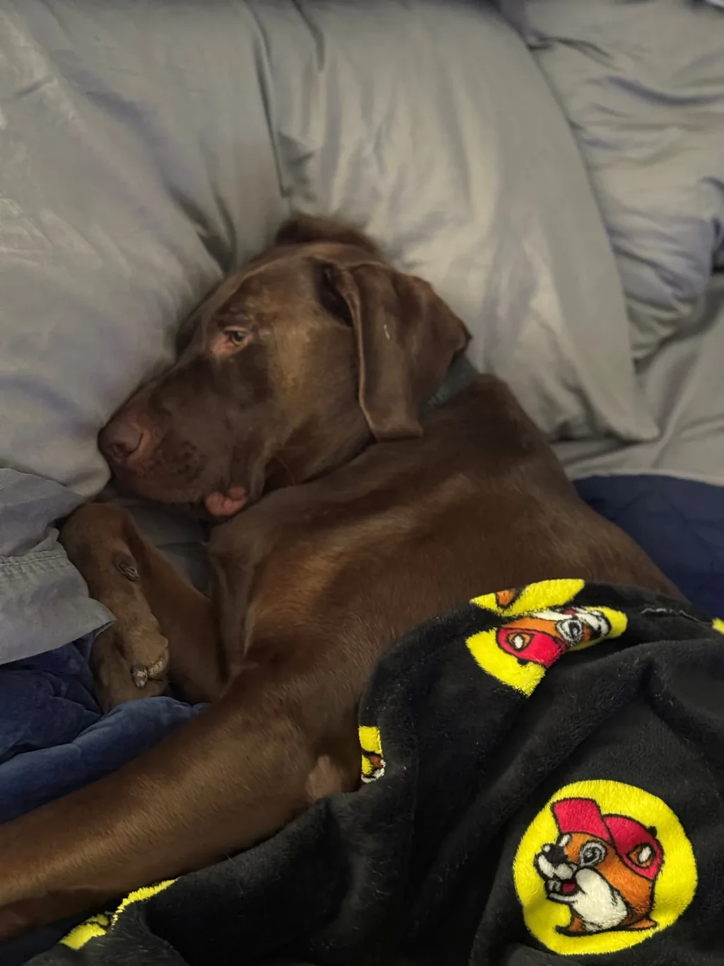 Featured image for He Knows When to Rest